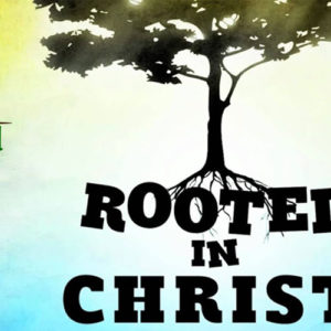 Rooted in Christ: Radical Endurance